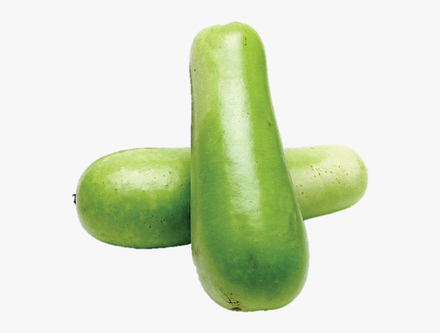 Opo Squash, Each - Gourd, HD Png Download