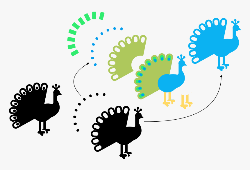 Pi11 - Turkey, HD Png Download
