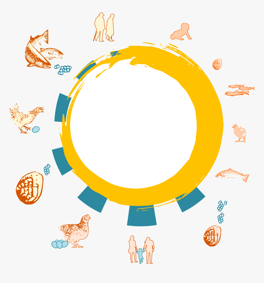 Animal Kingdom Png, Transparent Png
