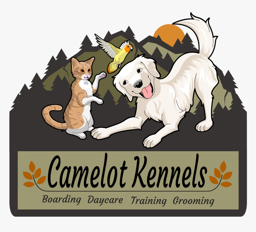 Illustration, HD Png Download