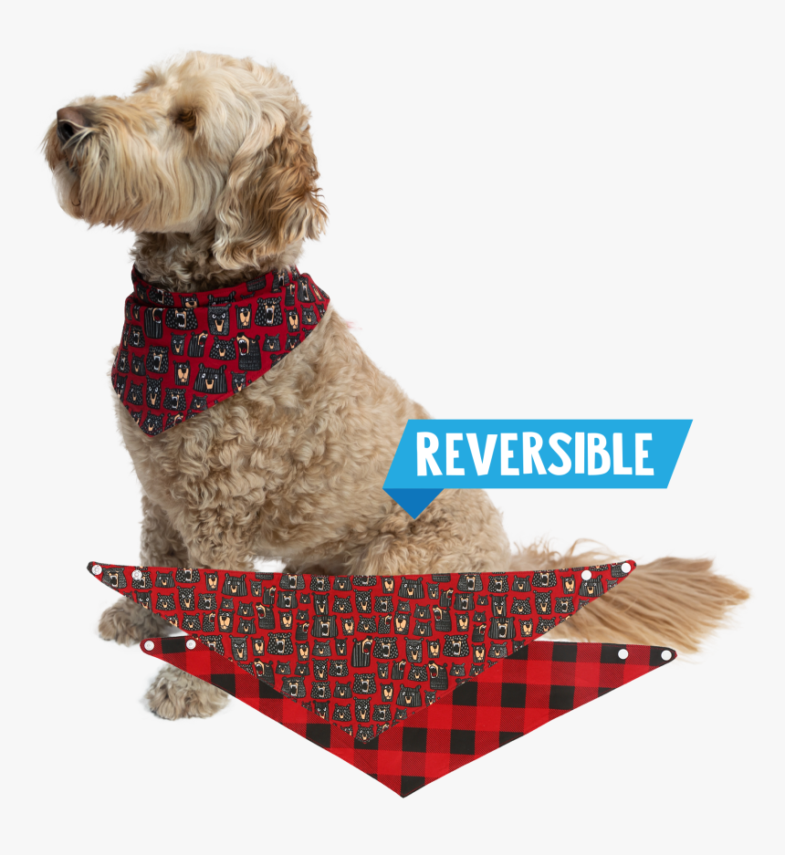 Terrier, HD Png Download