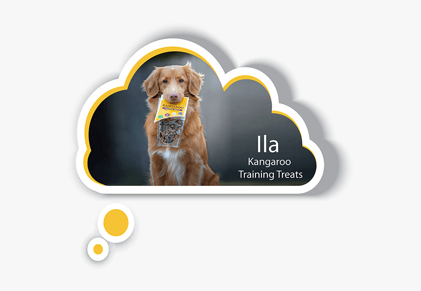 Dog Catches Something, HD Png Download