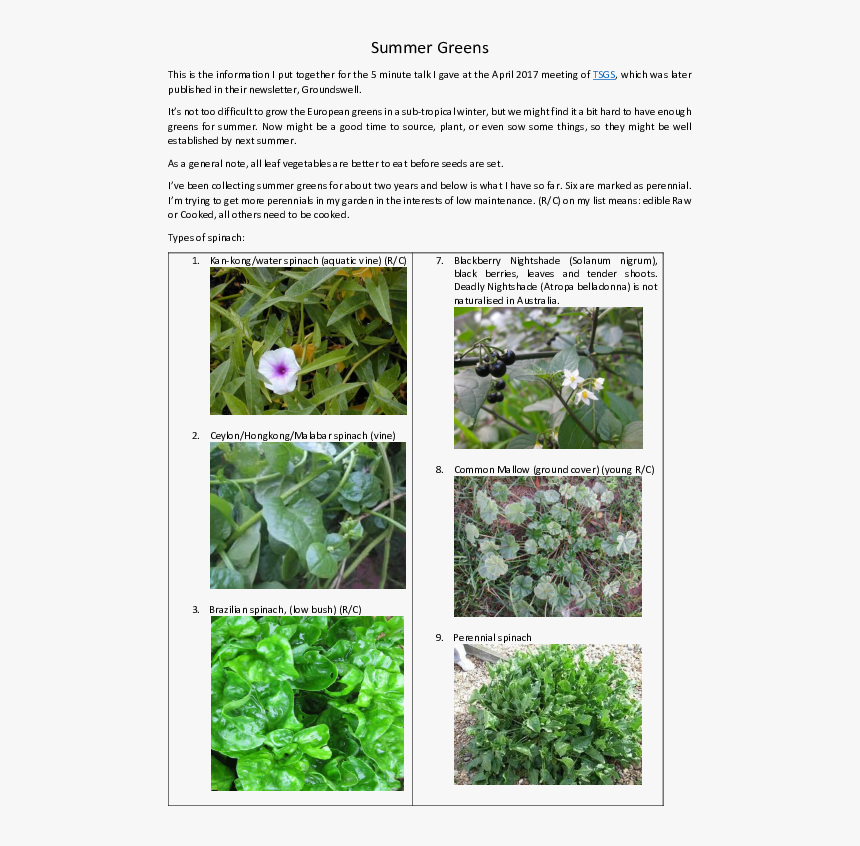 Common Mallow , Png Download - Sea Beet, Transparent Png