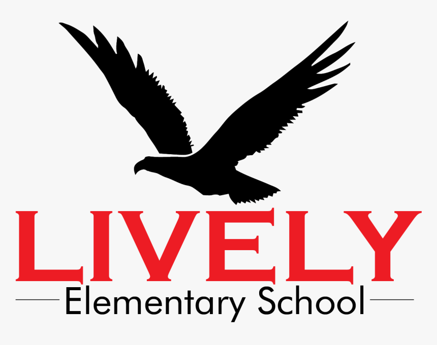 Osprey, HD Png Download