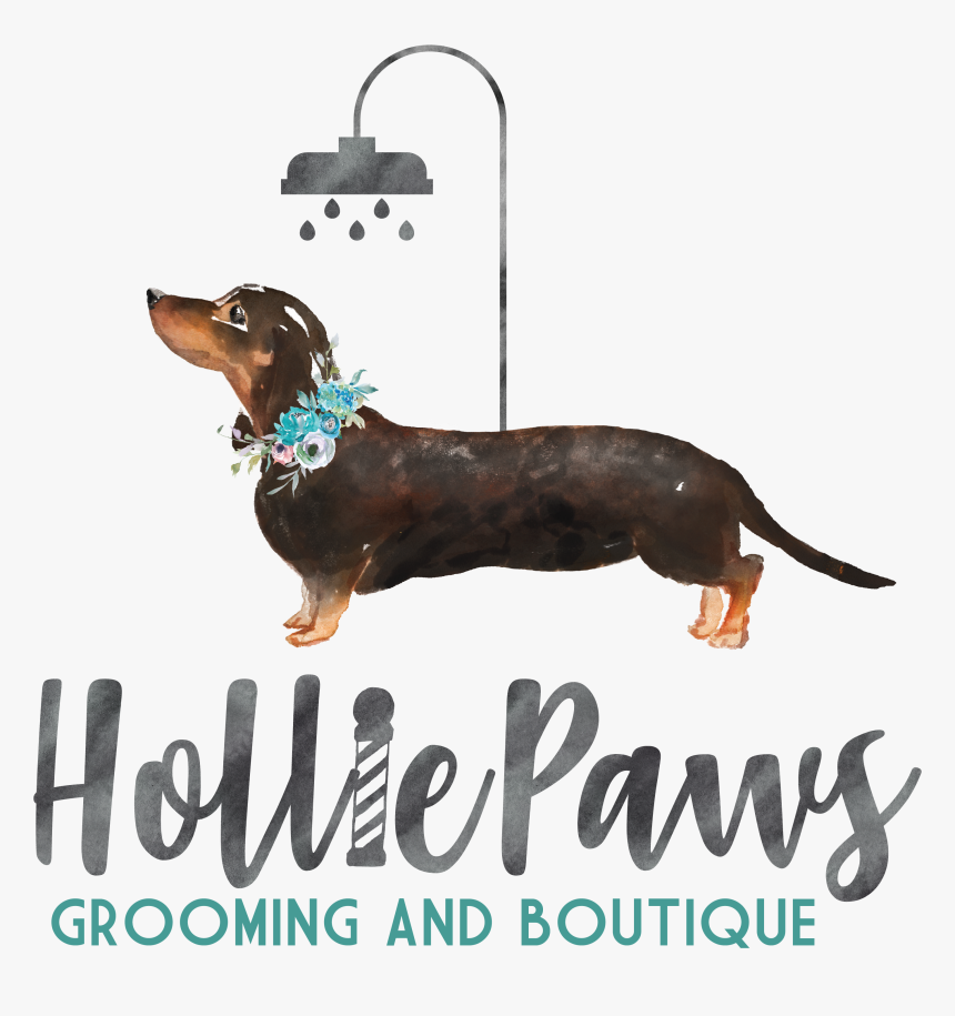 Dachshund, HD Png Download