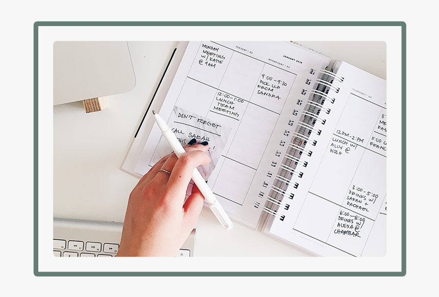 Celia-benefit - College Syllabus, HD Png Download