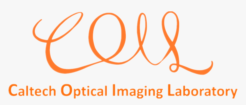 Optical Imaging - Circle, HD Png Download