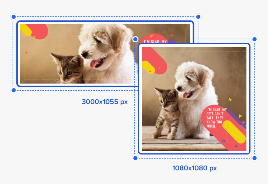 Resize Your Content Screen - Best Dogs And Cats, HD Png Download