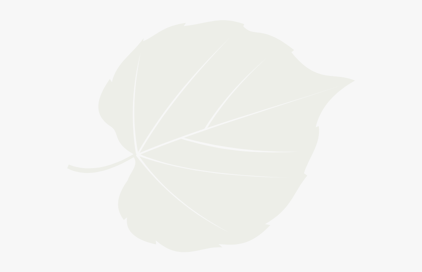 Watermark - Illustration, HD Png Download