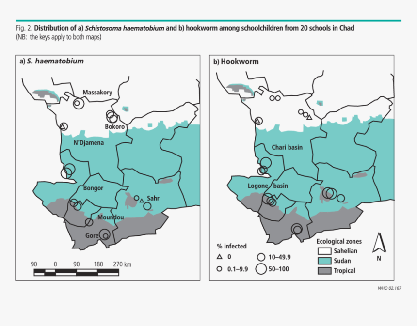 Geographical Distribution Of Trichuris Trichiura, HD Png Download