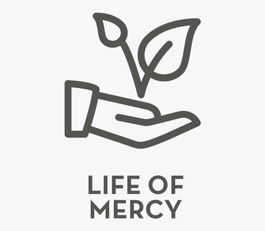 Htc Website Values Icons-5 - Plant Care Png Icon, Transparent Png