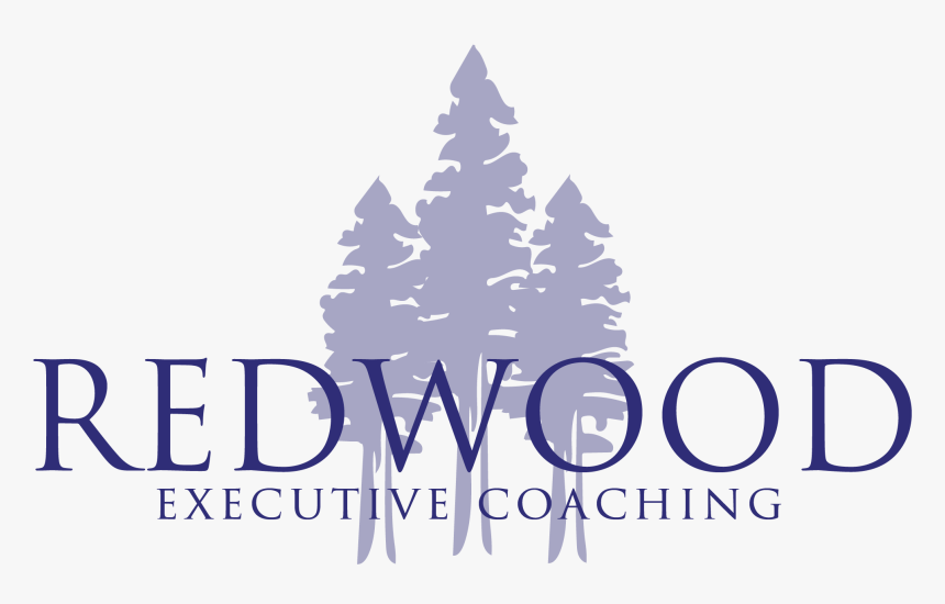 Redwood Executive Coaching - Olive Tree, HD Png Download