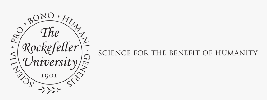 Miss Universe, HD Png Download