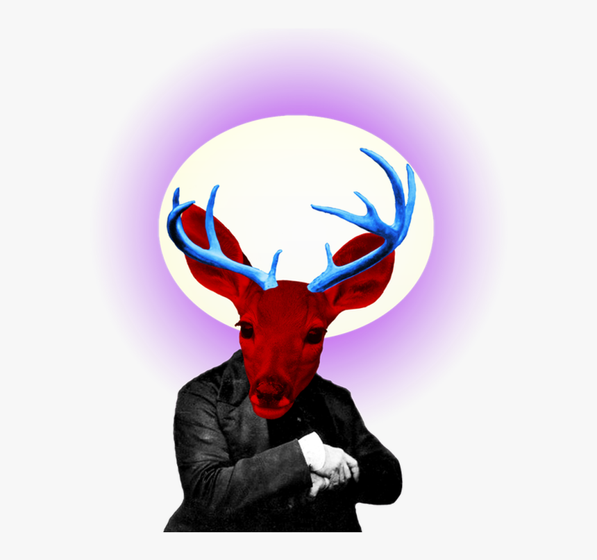 Picture - Illustration, HD Png Download