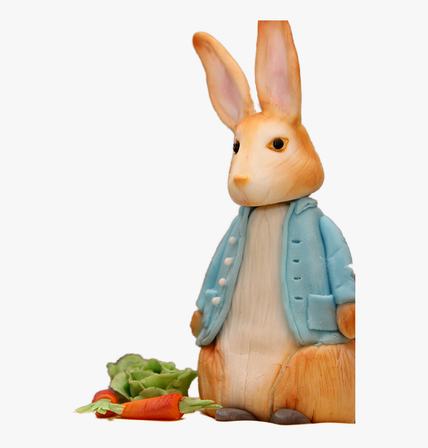 Domestic Rabbit, HD Png Download