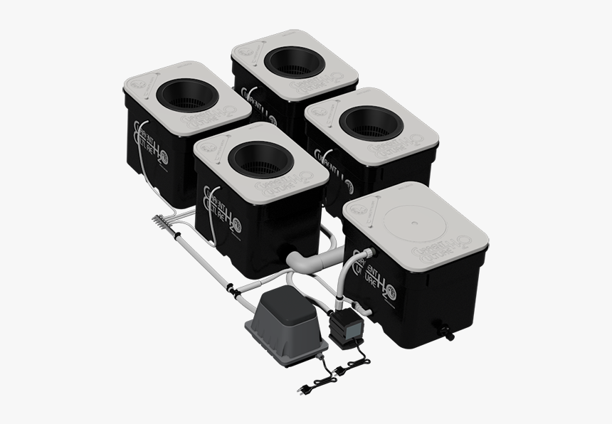 Under Current Png Current Culture, Transparent Png