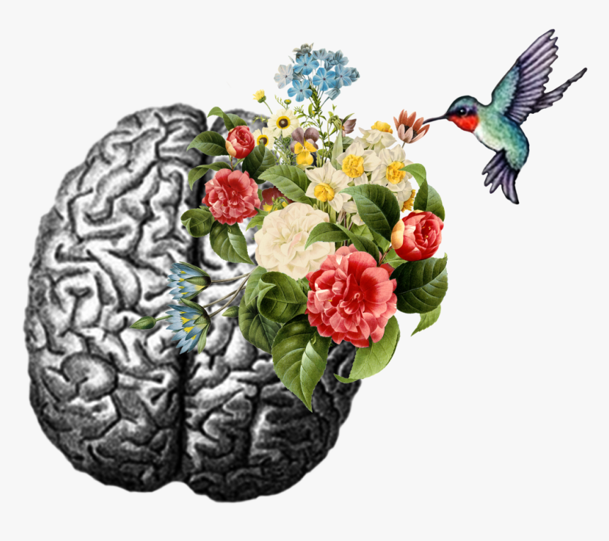 Psychology Sticker, HD Png Download