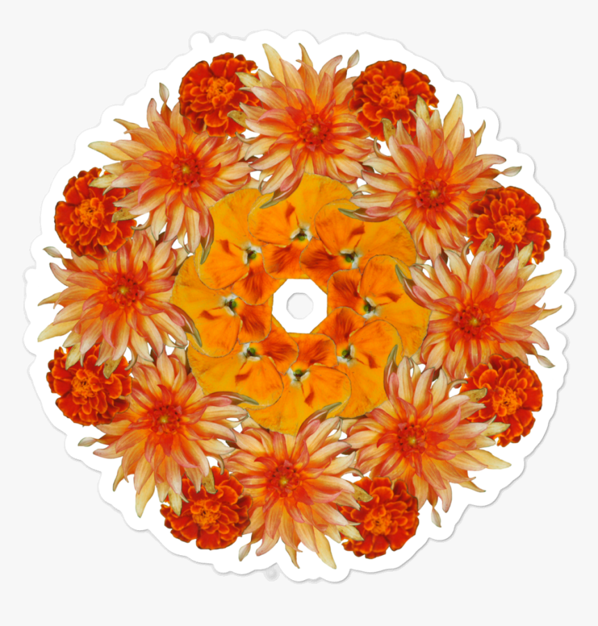 English Marigold, HD Png Download