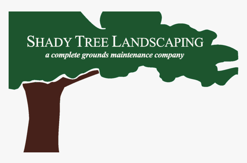 Shady Tree Bc Logo, HD Png Download
