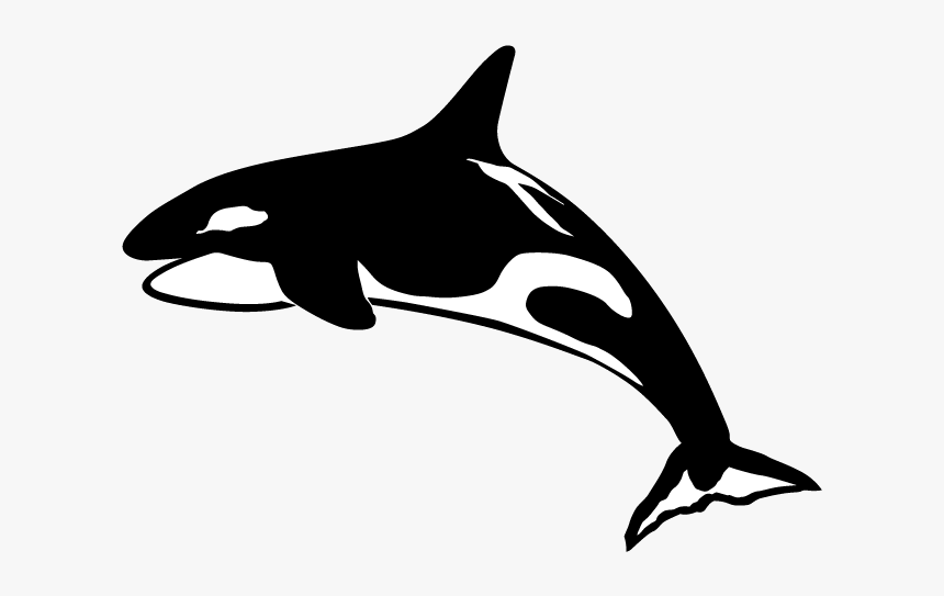 Dentist Bellingham Wa - Killer Whale, HD Png Download