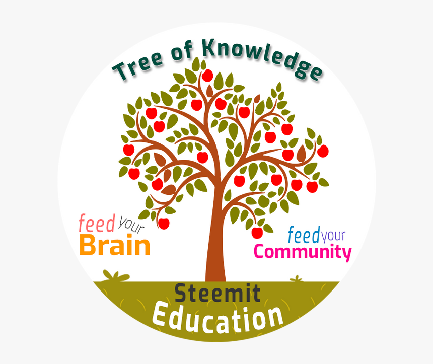 Apple Tree Vector Png , Png Download - Apple Tree Vector Png, Transparent Png