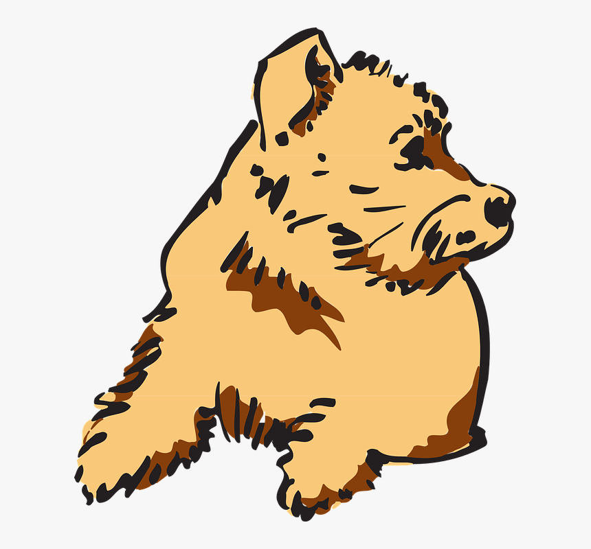 Transparent Short Clipart - Clipart Furry, HD Png Download