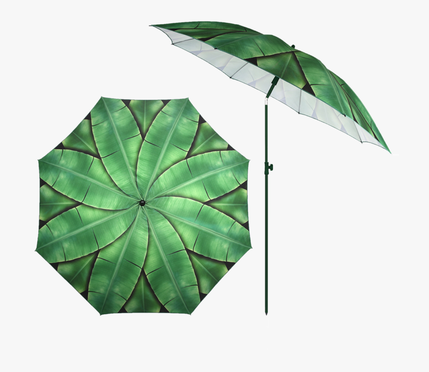 Parasol Banana Leaves, HD Png Download