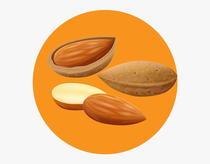 Almond - Chocolate, HD Png Download