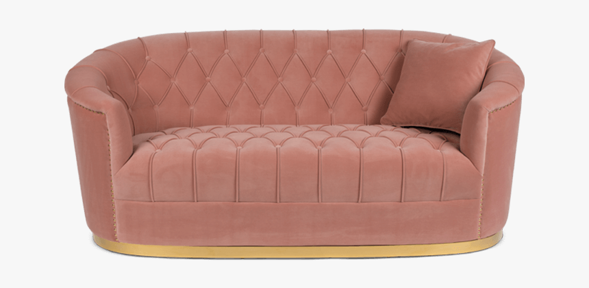 Bold Monkey Too Pretty To Sit On Sofa, HD Png Download