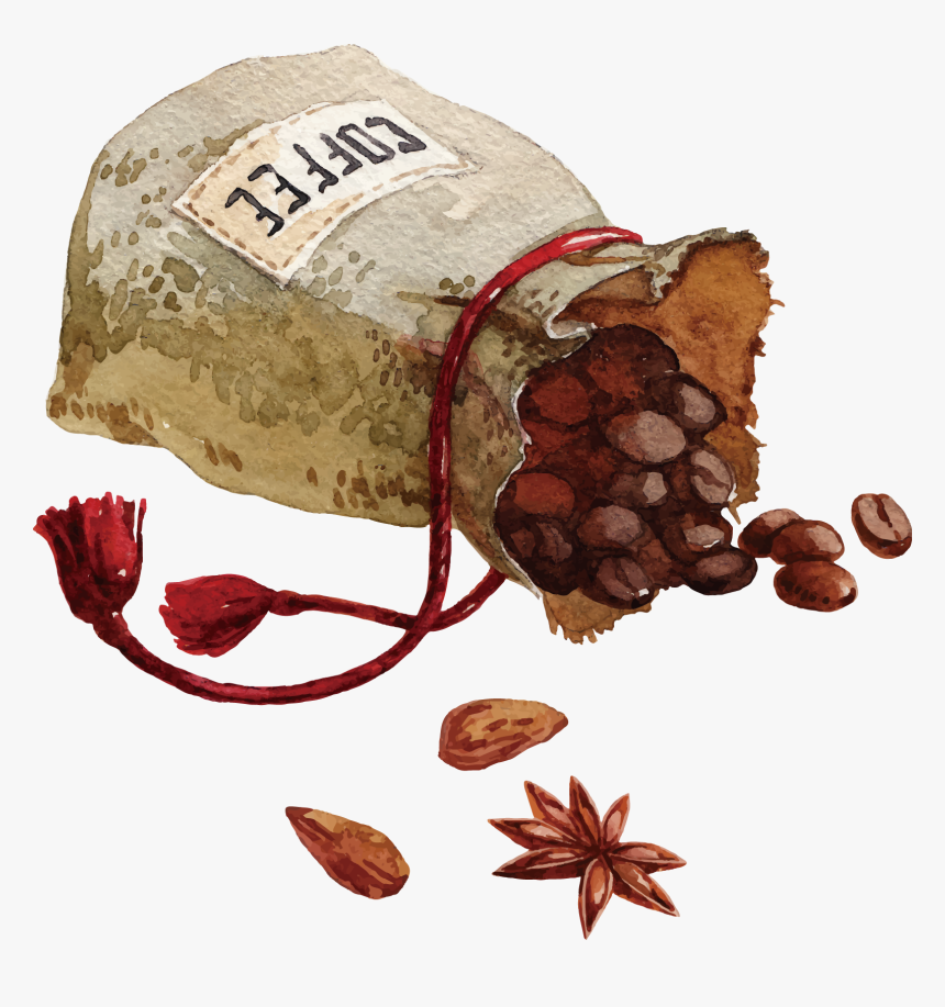 Coffee Bean Cafe Watercolor Painting - Coffee Bean Watercolor Png, Transparent Png