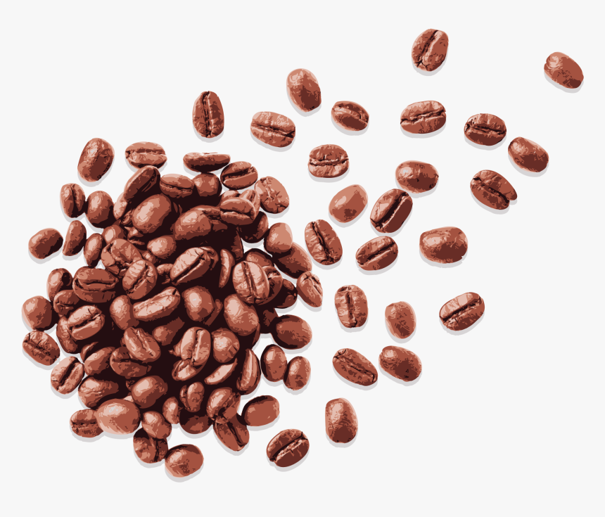 Coffee Beans - Seed, HD Png Download