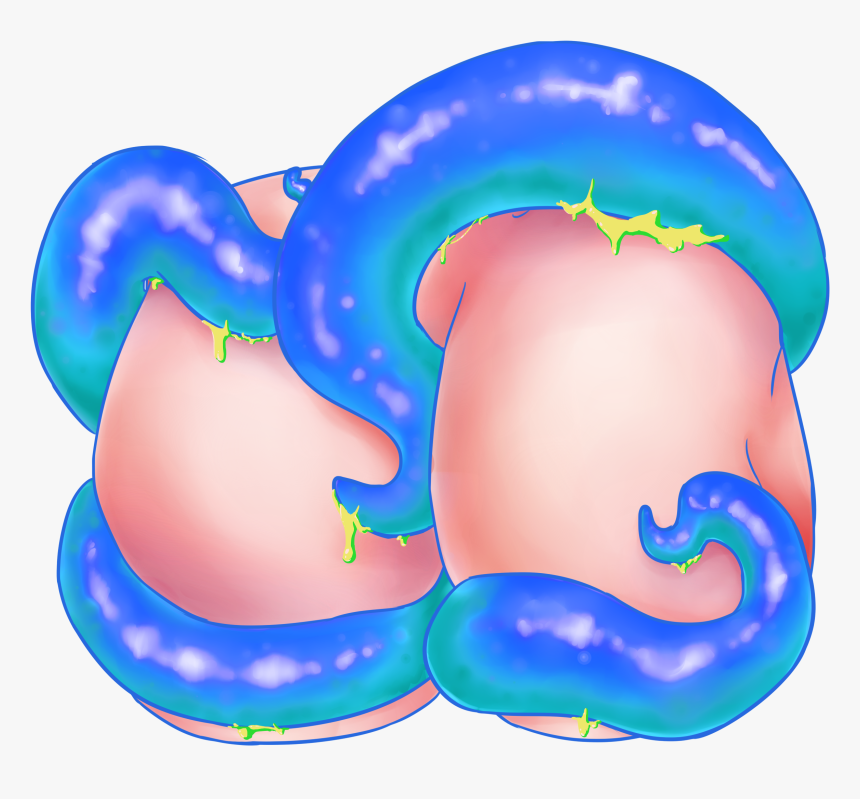 **pre-order** Tentacle Butt Charms • Wishes Come True, HD Png Download