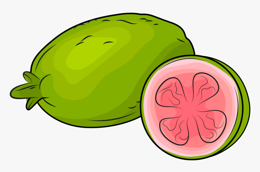 Guavas Clipart, HD Png Download