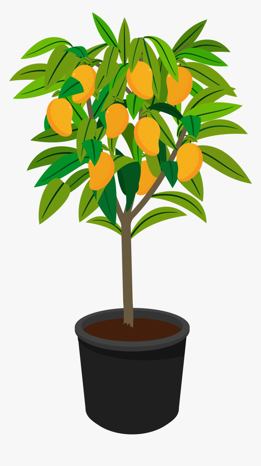 Large Tree, HD Png Download