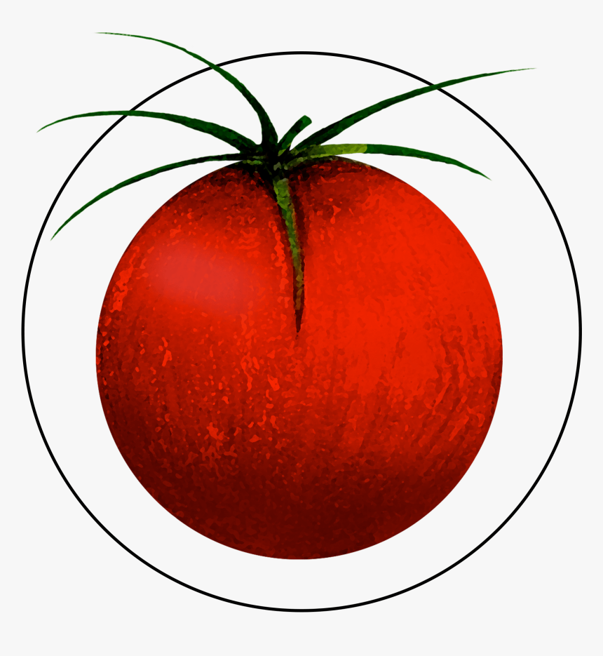 Attribute Motif Tomato - Tomato, HD Png Download