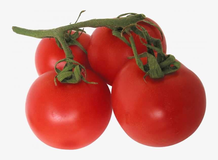 Now You Can Download Tomato Icon Png - Transparent Background Tomatoes Png, Png Download