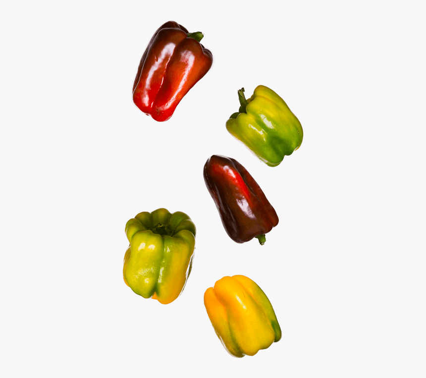 Red Bell Pepper, HD Png Download