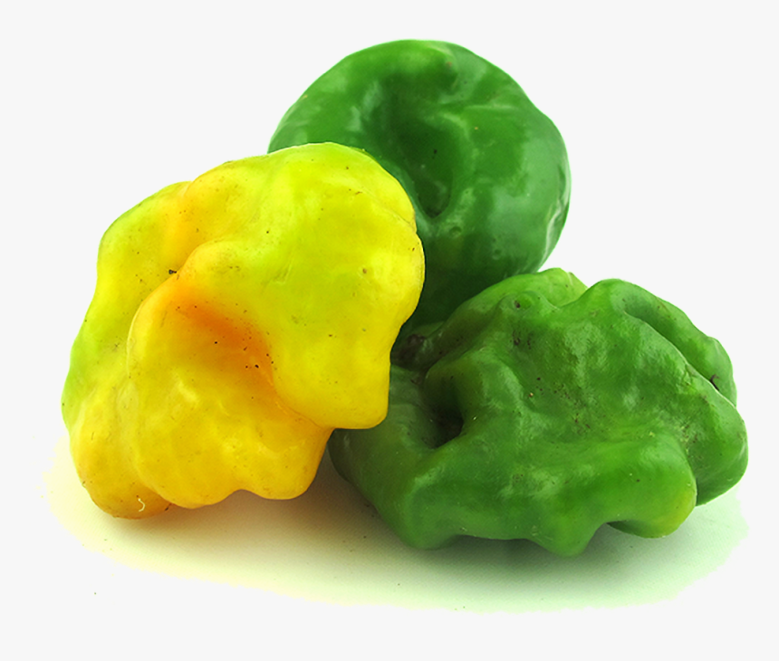 Pattypan Squash, HD Png Download