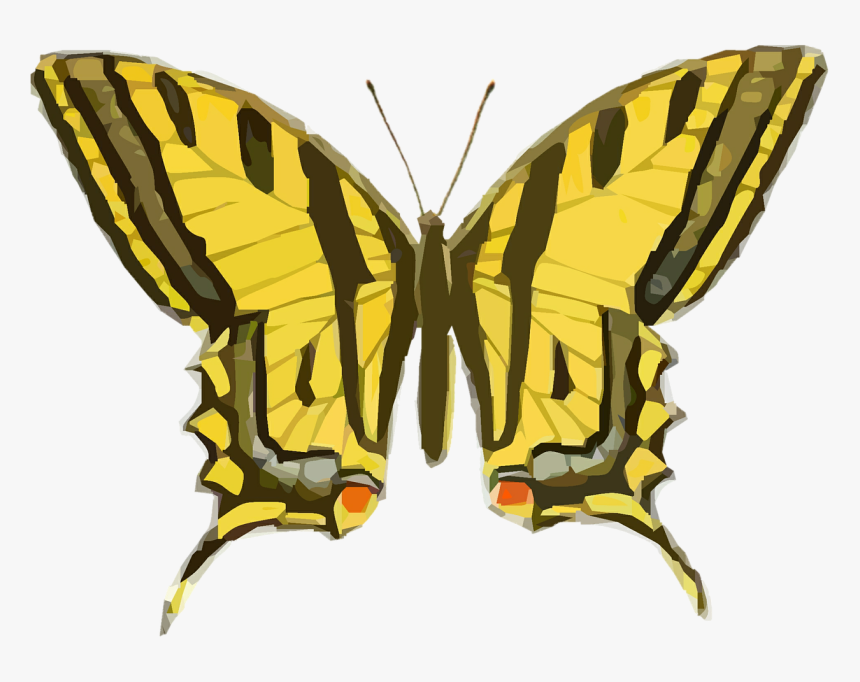 Butterfly Vintage Illustration, HD Png Download
