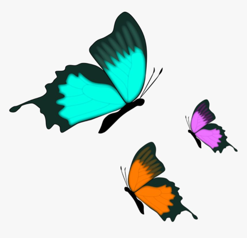 Png Download , Png Download - Farfalle Png, Transparent Png