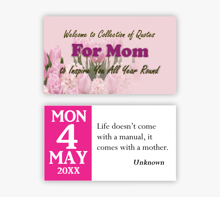 Elinda Marku, HD Png Download