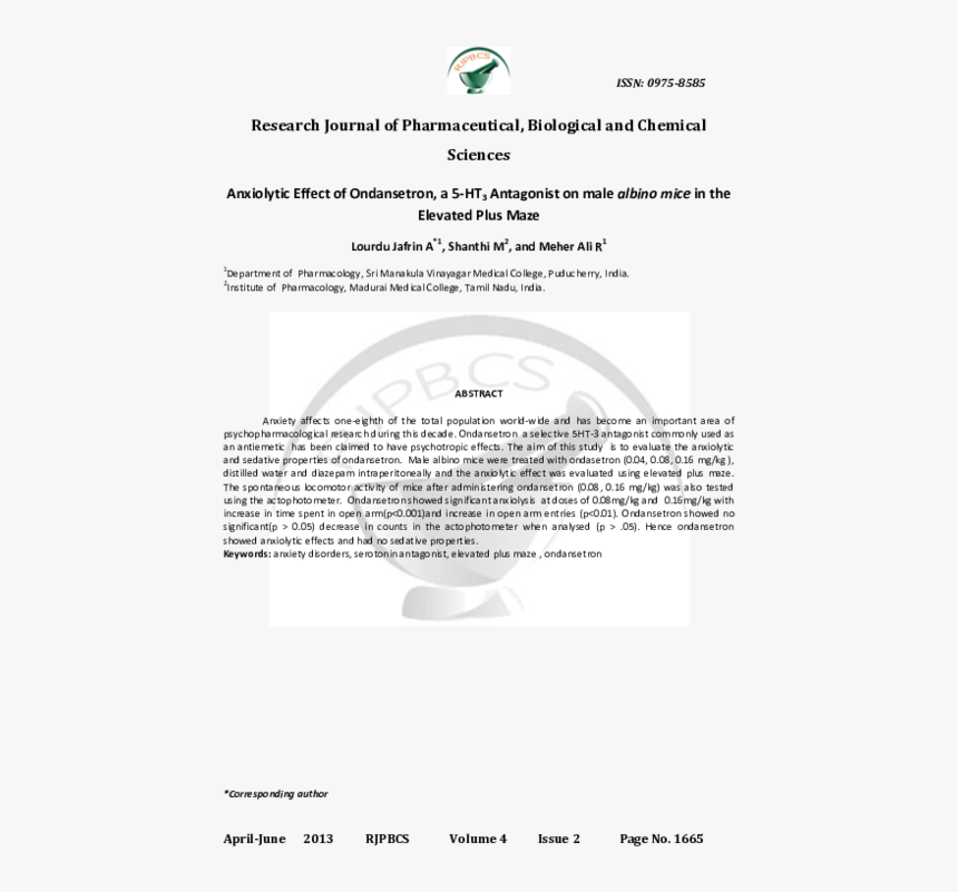 Document, HD Png Download