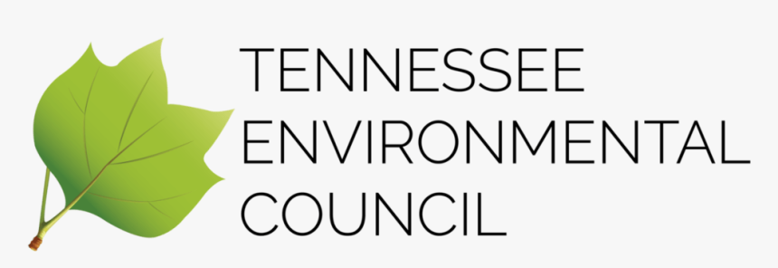 Black-and-white, HD Png Download