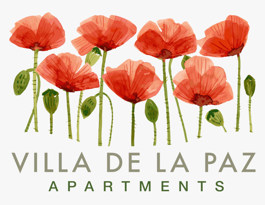 Poppy, HD Png Download