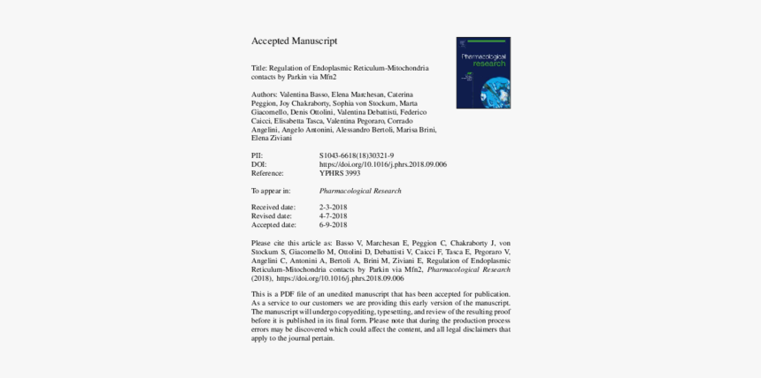 Document, HD Png Download