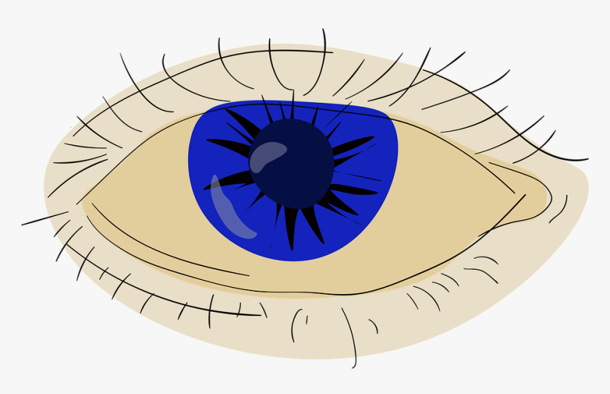 Circle, HD Png Download