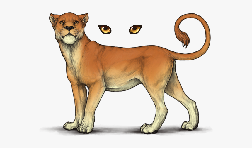 Lioden Bases, HD Png Download