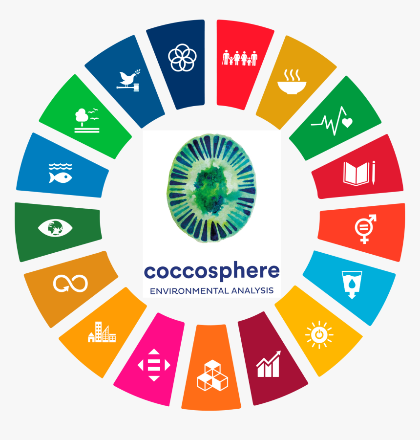 Sustainable Development Goals Wheel, HD Png Download