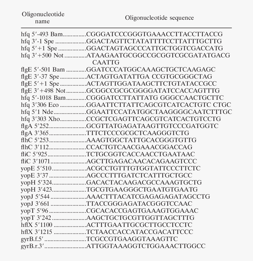 T4 Dna Ligase, HD Png Download