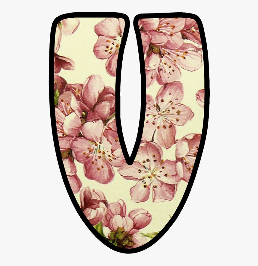 Peach Blossom, HD Png Download